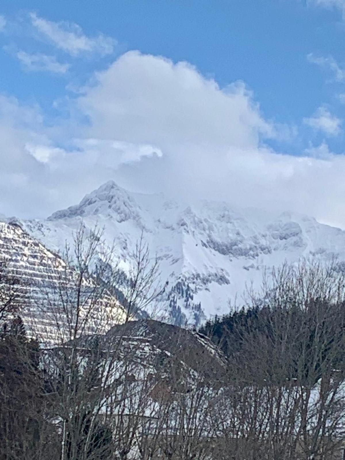 Apartment Alpine Rosy